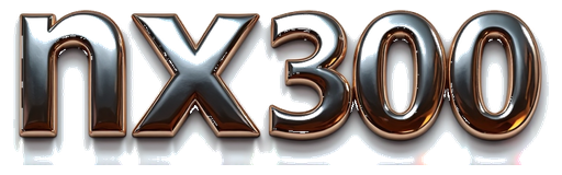 nx300 logo